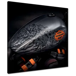 obrazy-60x60-harley-davidson-motocykl