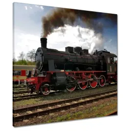 obrazy-60x60-ciuchcia-wolsztyn-tr5-65