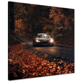 obrazy-60x60-audi-jesienny-pejzaz