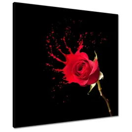 obrazy-60x60-rozpryskujaca-sie-roza