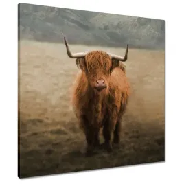obrazy-60x60-jak-bydlo-rogate-rogi