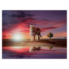 plakaty-40x30-tygrys