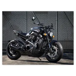 plakaty-40x30-harley-davidson-motocykl