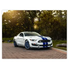 plakaty-40x30-ford-mustang-samochod-usa
