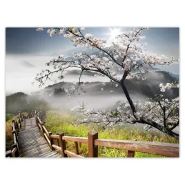 plakaty-40x30-japonia-kwitnaca-wisnia