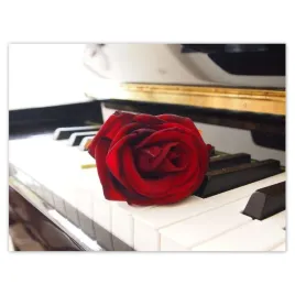 plakaty-40x30-rozna-na-pianinie
