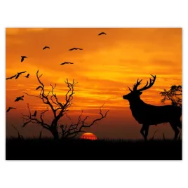 plakaty-40x30-jelen-i-zachod-slonca