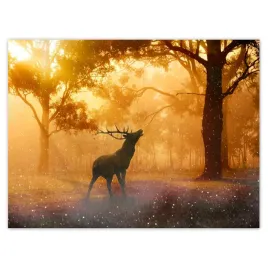 plakaty-40x30-jelen-w-lesie