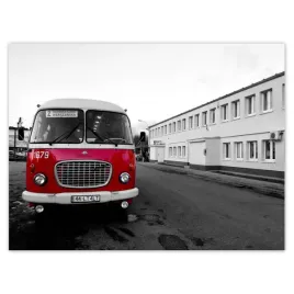 plakaty-40x30-czerwony-jelcz-ogorek