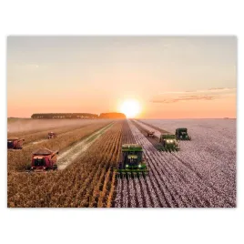 plakaty-40x30-zniwa-rolnictwo-kombajny