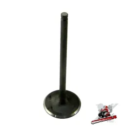 zawor-ssacy-cf-moto-500-oe-0180-022004