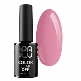 palu-lakier-hybrydowy-santiago-sa6-11g