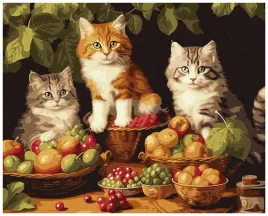 malowanie-po-numerach-koty-i-owoce-40x50cm