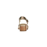 n680225001-kod-producenta-n680225001-rozmiar-36