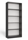 regal-onyx-r80-antracyt