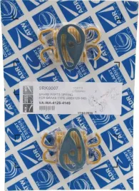 zestaw-sprezyn-szczek-hamulcowych-9rk0007