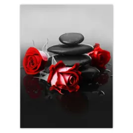 naklejki-30x40-czerwona-roza-wellness