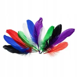 piorka-gesie-jaskrawe-15-20cm