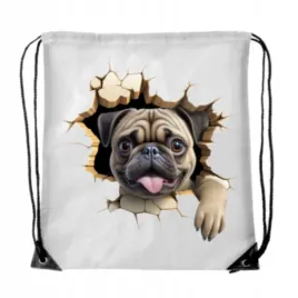 worek-plecak-szkolny-sportowy-wf-buty-trening-dziura-pies-mops-psem-wb-112