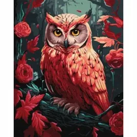 malowanie-po-numerach-kolorowa-sowa-40x50cm