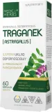 traganek-astragalus-medica-herbs