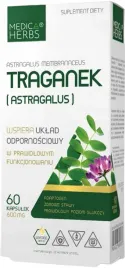 traganek-astragalus-medica-herbs
