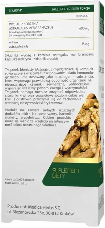 traganek-astragalus-medica-herbs