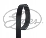pasek-wielorowkowy-gates-gates-5pk1343-gates-typ-silnika-benzyna