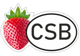 naklejka-csb-truskawka-naklejka-na-samochod