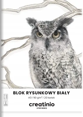 blok-rysunkowy-top2000-creatinio-a3-bialy-20-kar-stan-nowy