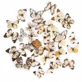 naklejki-pet-motyle-40-szt-dpcraft-mix-motylki-ozdobne-eko-scrapbooking