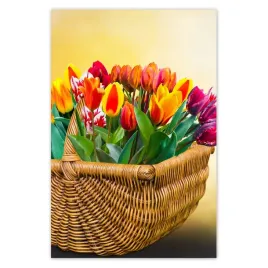 fototapety-122x184-tulipany-kwiaty-kwiatki