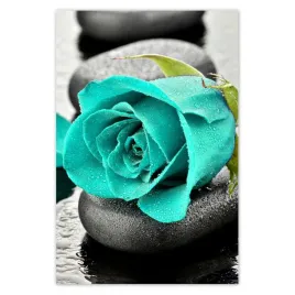 fototapety-169x254-turkusowa-roza