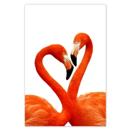 fototapety-169x254-zakochane-flamingi