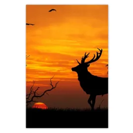 fototapety-169x254-jelen-i-zachod-slonca