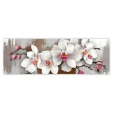 fototapety-312x104-biala-orchidea