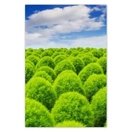 fototapety-169x254-zielone-spojrzenie-dolina