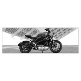 fototapety-312x104-harley-davidson-motocykl