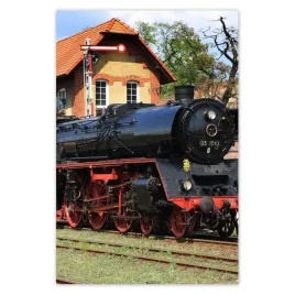 fototapety-122x184-parada-parowozow-wolsztyn