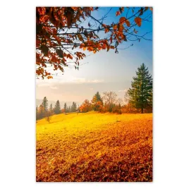 fototapety-169x254-jesienny-krajobraz