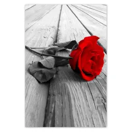 fototapety-169x254-czerwona-roza-na-deskach