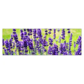 fototapety-312x104-kwiaty-lawendy