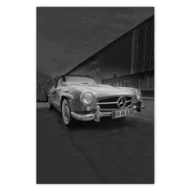 fototapety-122x184-mercedes-skrzydlak-auto