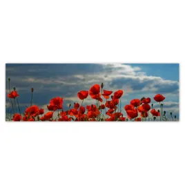 fototapety-312x104-mak-maki-kwiaty-kwiatki