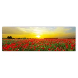 fototapety-312x104-pole-makow-z-zachodem