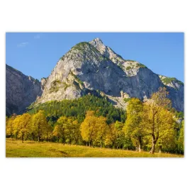 fototapety-208x146-gorski-pejzaz-z-czystym-niebem-drzewa-w-gorach