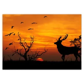 fototapety-208x146-jelen-i-zachod-slonca