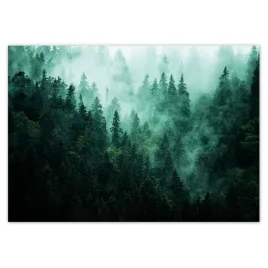 fototapety-208x146-las-mgla-krajobraz-podroz