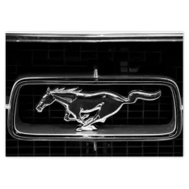fototapety-208x146-ford-mustang-znak