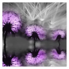 fototapety-208x208-odbicie-w-wodzie-latawce